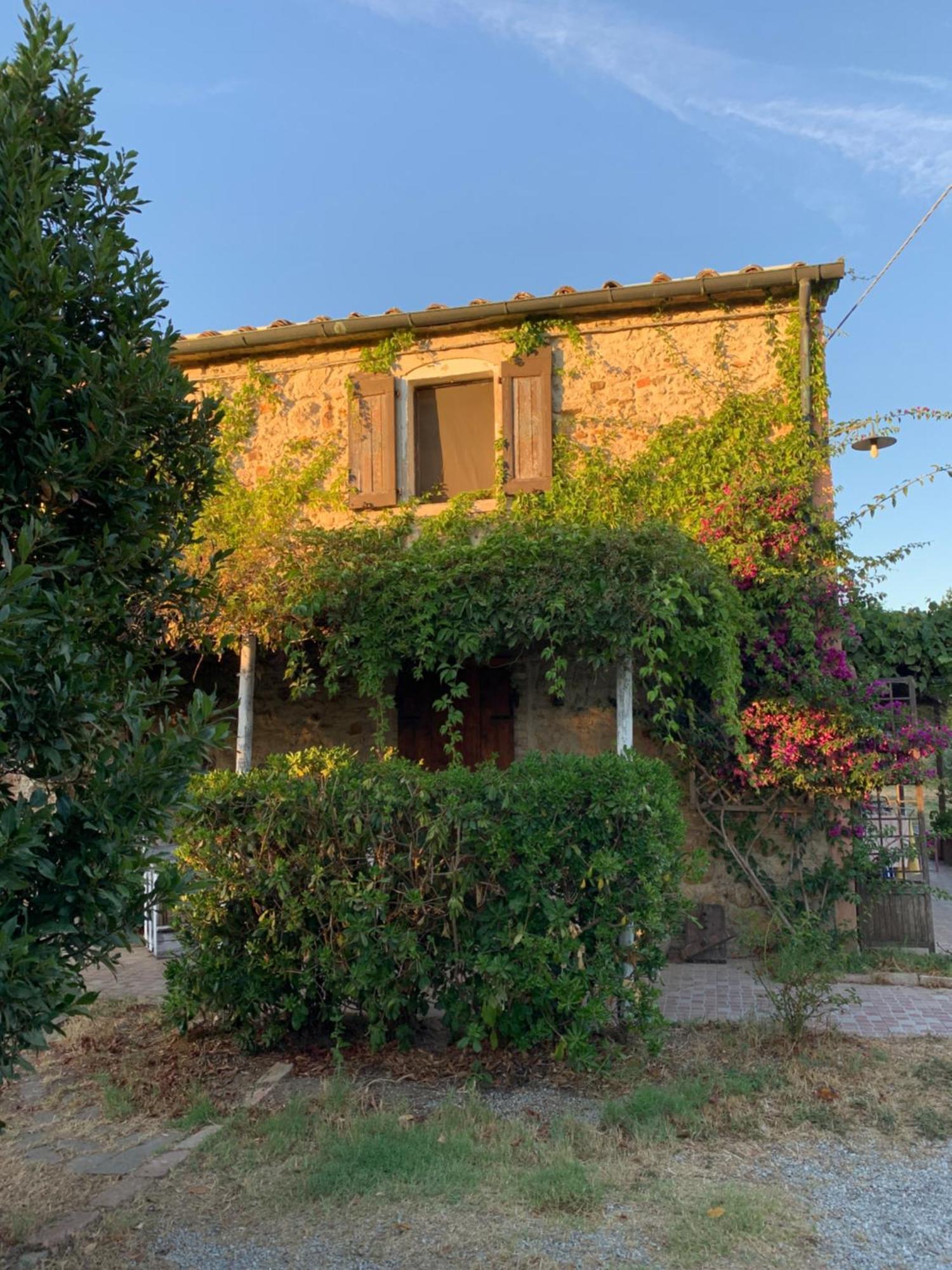 Podere Girasoli Piombino Kültér fotó