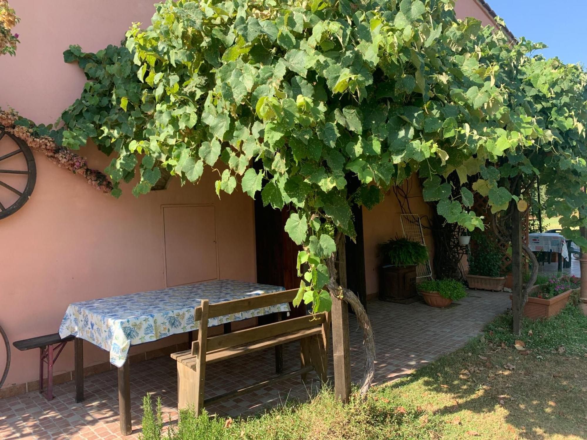 Podere Girasoli Piombino Kültér fotó